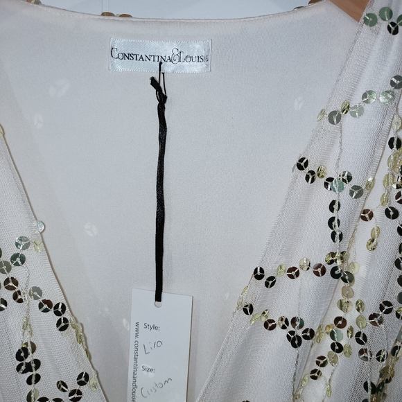 Constantina and Louise wedding/evening dress - Picture 7 of 10